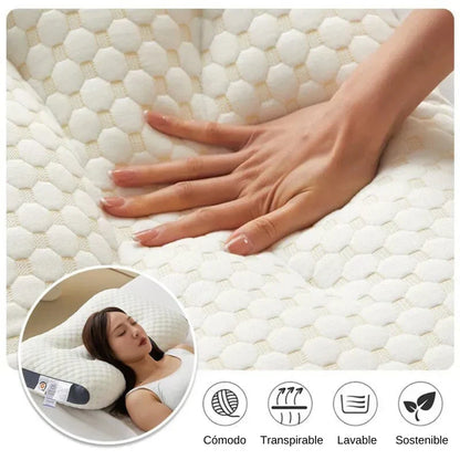 ErgoDream® - Diseñada por expertos, pensada para tu salud